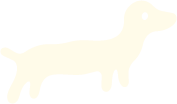 The Dog